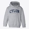 Cylon Wisconsin Urban Vibe Toddler Hoodie additional view 1