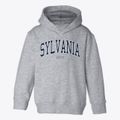 Sylvania Ohio Traditional Toddler Hoodie additional view 1