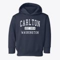 Carlton Washington Classic Established Toddler Hoodie additional view 1