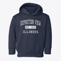 Exposition View Illinois Classic Established Toddler Hoodie additional view 1