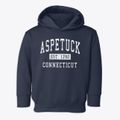 Aspetuck Connecticut Classic Established Toddler Hoodie additional view 1