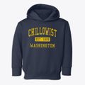 Chillowist Washington Classic Established Toddler Hoodie additional view 1