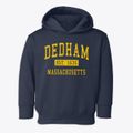 Dedham Massachusetts Classic Established Toddler Hoodie additional view 1