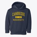 Cambridge Massachusetts Classic Established Toddler Hoodie additional view 1