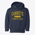 Cambute Puerto Rico Classic Established Toddler Hoodie additional view 1