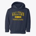 Walltown Pennsylvania Classic Established Toddler Hoodie additional view 1