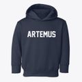 Artemus Kentucky Classic Block Toddler Hoodie additional view 1