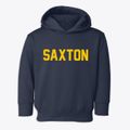 Saxton Pennsylvania Classic Block Toddler Hoodie additional view 1