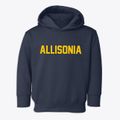 Allisonia Virginia Classic Block Toddler Hoodie additional view 1