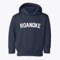 Roanoke Illinois Classic Curve Toddler Hoodie additional view 1