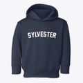 Sylvester Wisconsin Classic Curve Toddler Hoodie additional view 1