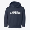 Cambria Wisconsin Classic Curve Toddler Hoodie additional view 1