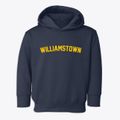 Williamstown Massachusetts Classic Curve Toddler Hoodie additional view 1