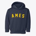 Ames Iowa Classic Curve Toddler Hoodie additional view 1