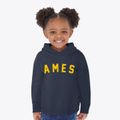 Ames Iowa Classic Curve Toddler Hoodie additional view 2