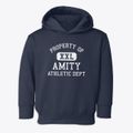 Amity Arkansas Athletic Dept Toddler Hoodie additional view 1