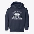 Ohiopyle Pennsylvania Athletic Dept Toddler Hoodie additional view 1