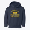 Park Ridge Illinois Athletic Dept Toddler Hoodie additional view 1