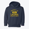 Laconia New Hampshire Athletic Dept Toddler Hoodie additional view 1