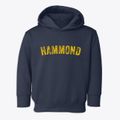 Hammond Wisconsin Timeless Retro Toddler Hoodie additional view 1