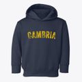 Cambria Wisconsin Timeless Retro Toddler Hoodie additional view 1
