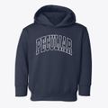 Peculiar Missouri Trendy Block Toddler Hoodie additional view 1