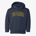 Des Plaines Illinois Trendy Block Toddler Hoodie additional view 1