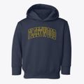 Fleetwood Pennsylvania Trendy Block Toddler Hoodie additional view 1