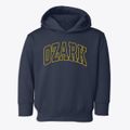 Ozark Arkansas Trendy Block Toddler Hoodie additional view 1