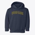 Queen Creek Arizona Trendy Block Toddler Hoodie additional view 1