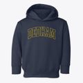 Dedham Massachusetts Trendy Block Toddler Hoodie additional view 1