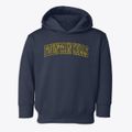 Fountain Hills Arizona Trendy Block Toddler Hoodie additional view 1