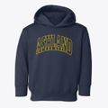 Ashland Kansas Trendy Block Toddler Hoodie additional view 1