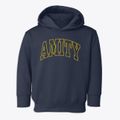 Amity Arkansas Trendy Block Toddler Hoodie additional view 1