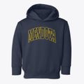 Mendota Minnesota Trendy Block Toddler Hoodie additional view 1