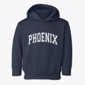 Phoenix New York Varsity Toddler Hoodie additional view 1