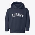 Albany New Hampshire Varsity Toddler Hoodie additional view 1
