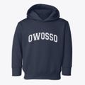 Owosso Michigan Varsity Toddler Hoodie additional view 1