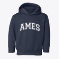Ames Nebraska Varsity Toddler Hoodie additional view 1