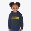 Sullivan Illinois Varsity Toddler Hoodie additional view 2