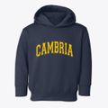 Cambria Wisconsin Varsity Toddler Hoodie additional view 1