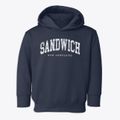 Sandwich New Hampshire Urban Vibe Toddler Hoodie additional view 1
