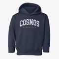 Cosmos Minnesota Urban Vibe Toddler Hoodie additional view 1