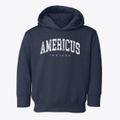 Americus Indiana Urban Vibe Toddler Hoodie additional view 1