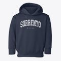 Sorrento Maine Urban Vibe Toddler Hoodie additional view 1
