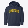 Lindstrom Minnesota Urban Vibe Toddler Hoodie additional view 1
