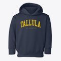 Tallula Illinois Urban Vibe Toddler Hoodie additional view 1