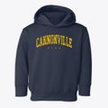 Cannonville Utah Urban Vibe Toddler Hoodie additional view 1