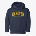 Hanover Massachusetts Urban Vibe Toddler Hoodie additional view 1