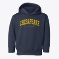Chesapeake Missouri Urban Vibe Toddler Hoodie additional view 1